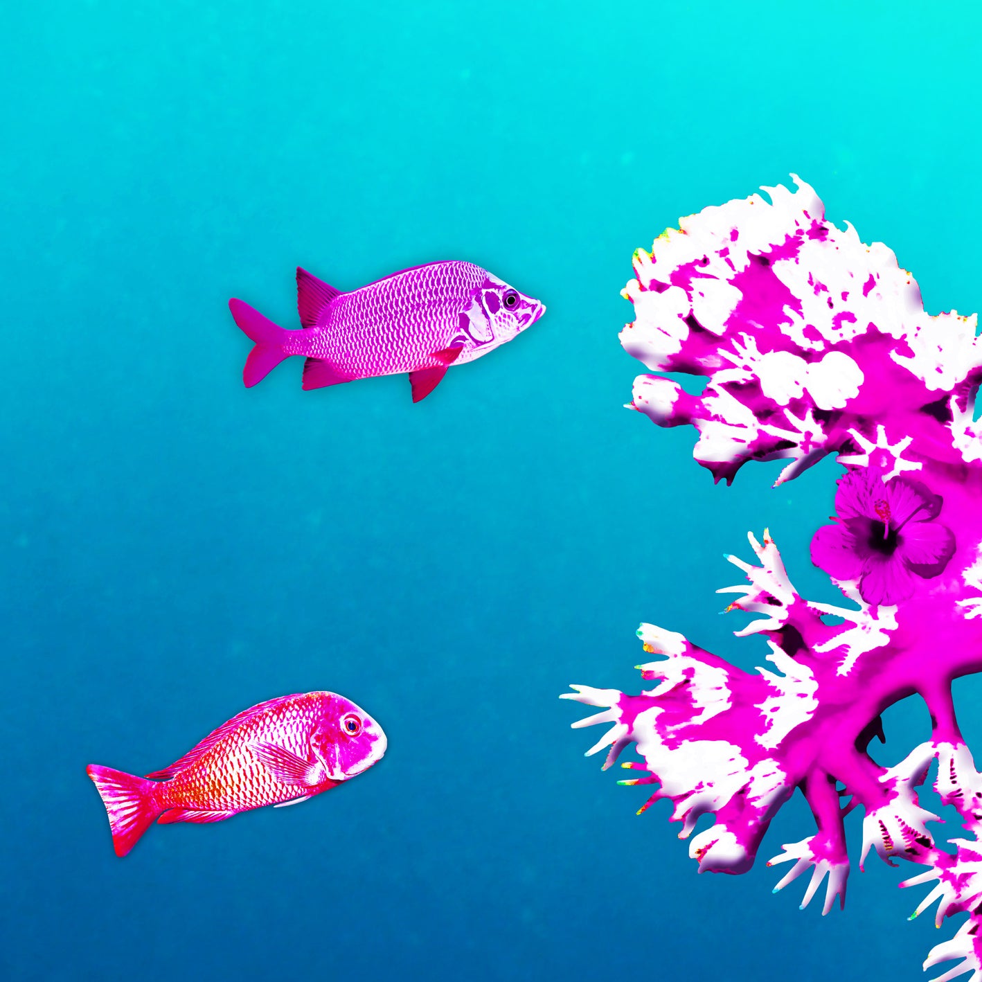 Purple Coral Reef | 176x99 cm | edition of 7