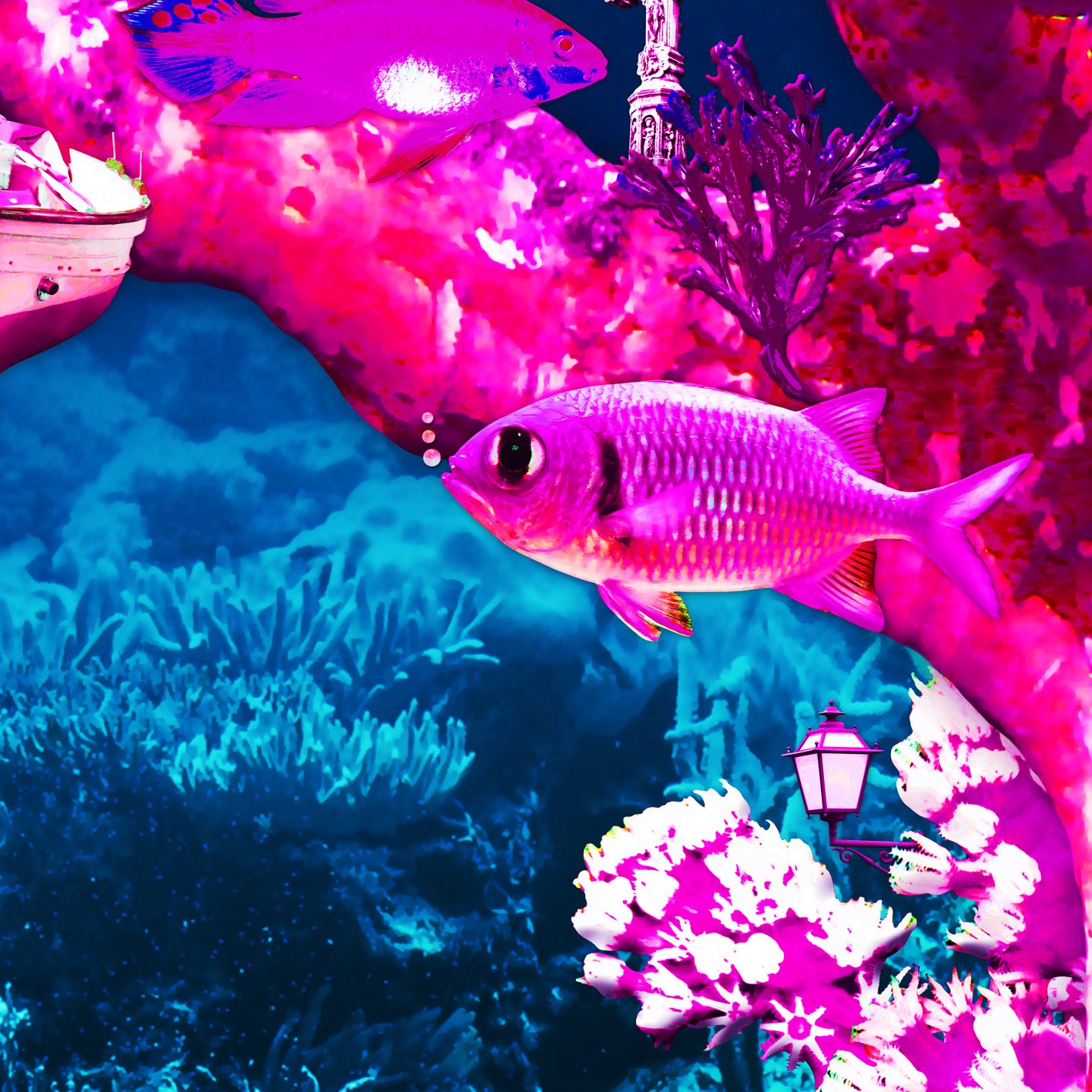 Purple Coral Reef - UNDERWATER ARTWORK - Edition of 7