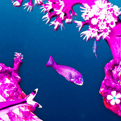 Purple Coral Reef | 176x99 cm | edition of 7