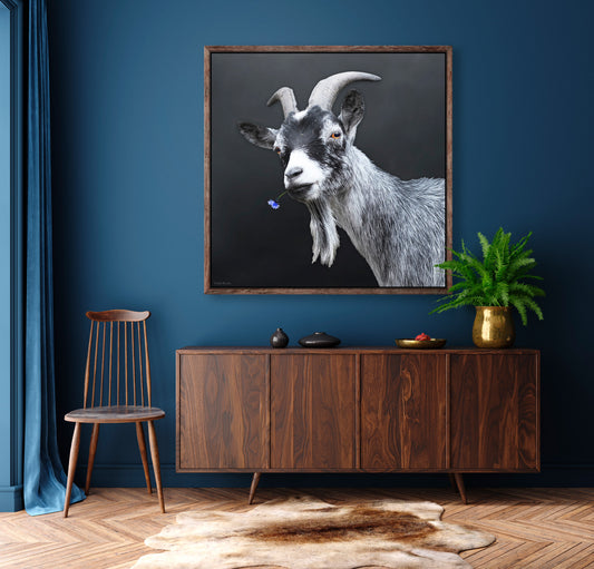 Swiss Goat | 100x100 cm | edition of 7